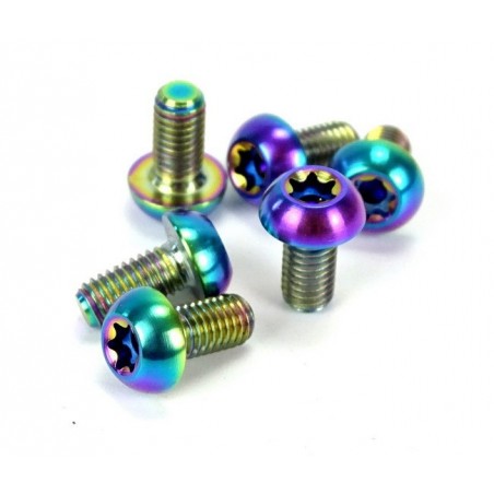 ROCKY - Disc fixing kit consisting of 6 screws rainbow Titanium 8.4g