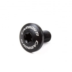 Carbon Ti - Torx Large Head M5 x 10 0.9g 2