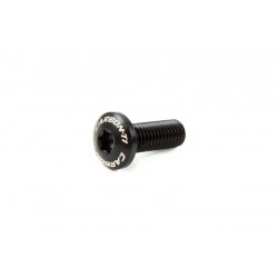Carbon Ti - Torx large Head M5 x 14 1.1g 2