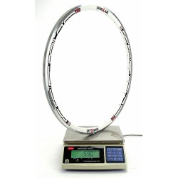 DT Swiss - Cerchio in alluminio RR 1850 corsa 28" 590g 2