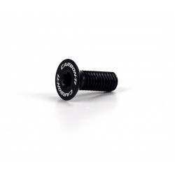 Carbon Ti - Ergal screw with flat countersunk Torx M5 x...