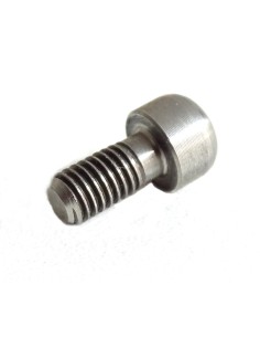ROCKY - Titanium bolt rounded M5 x 10 1.6g 2