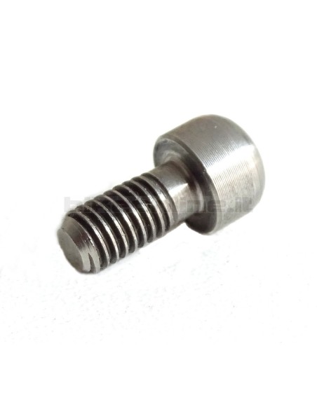 ROCKY - Titanium bolt rounded M5 x 10 1.6g_1
